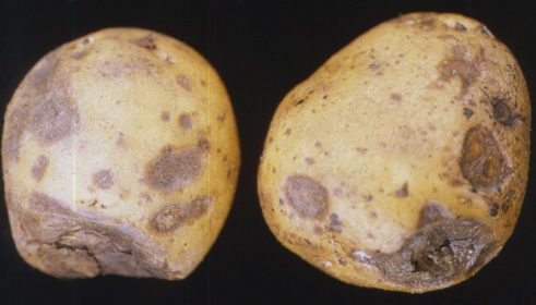 post-image