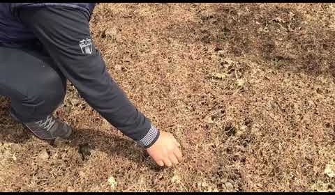post-image