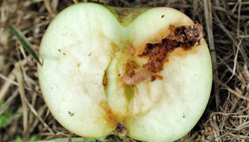 post-image