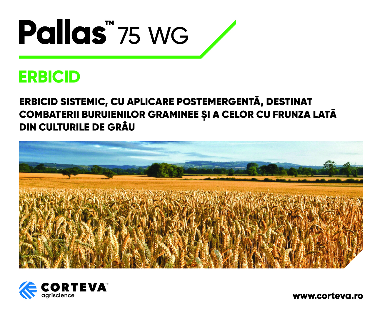 PALLAS™ si FLORAMIX ™ – nicio sansa buruienilor din cultura de grau ...